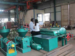 Palm refinery project in Congo